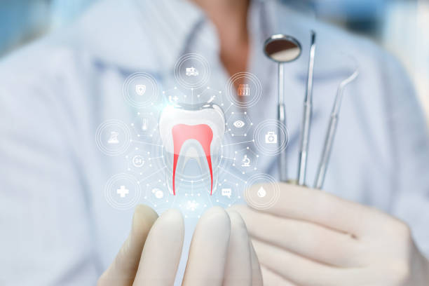 Professional Holistic Dental Care Services in Dexter, NM